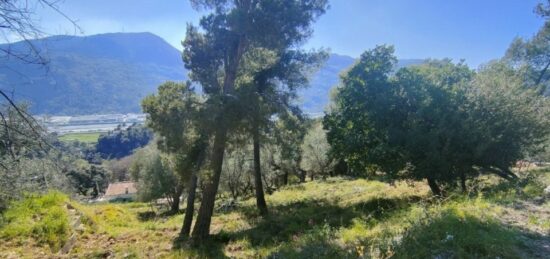 Terrain à bâtir à Saint-Martin-du-Var, Provence-Alpes-Côte d'Azur