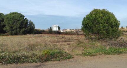 Agde Terrain à bâtir - 2042467-11018annonce120250107gLVlM.jpeg Maisons France Confort