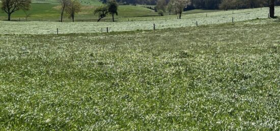 Terrain à bâtir à Marcolès, Auvergne-Rhône-Alpes