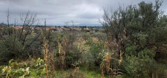 Terrain à bâtir à Gonfaron, Provence-Alpes-Côte d'Azur