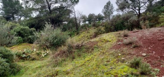 Terrain à bâtir à , Var