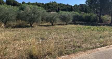 Sainte-Croix-de-Quintillargues Terrain à bâtir - 2016344-10245annonce120241202niJQi.jpeg Maisons France Confort